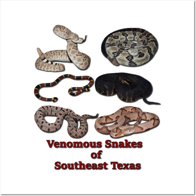Venomous Snakes of Southeast Texas Wall Art by Paul Prints